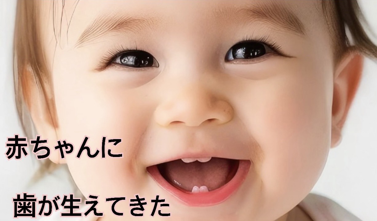 赤ちゃん歯科専門サイト